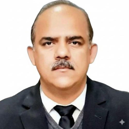 Syed Hassan Raza Shah